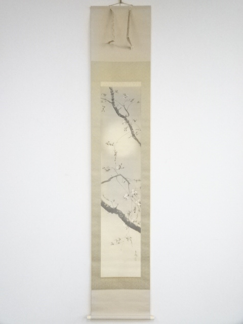 道具 ] - 道具 今井景樹筆 桜 肉筆絹本掛軸（保護箱）□z | ネット